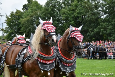JURA-Volksfest-Pferdeshow-190819-0061