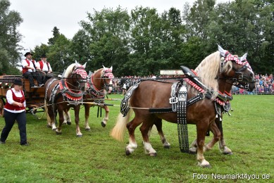 JURA-Volksfest-Pferdeshow-190819-0062