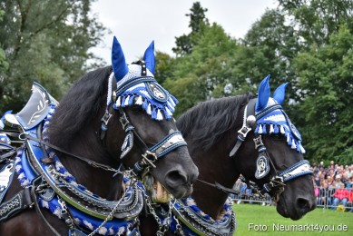 JURA-Volksfest-Pferdeshow-190819-0068