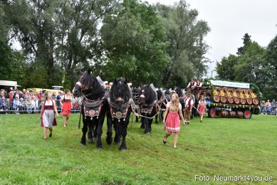JURA-Volksfest-Pferdeshow-190819-0071