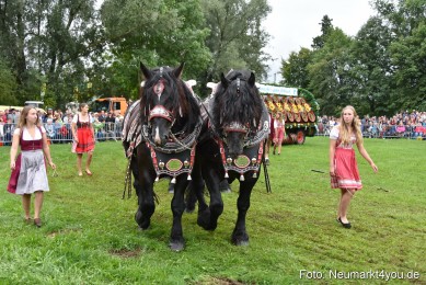 JURA-Volksfest-Pferdeshow-190819-0072