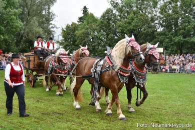 JURA-Volksfest-Pferdeshow-190819-0078