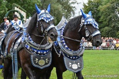 JURA-Volksfest-Pferdeshow-190819-0079