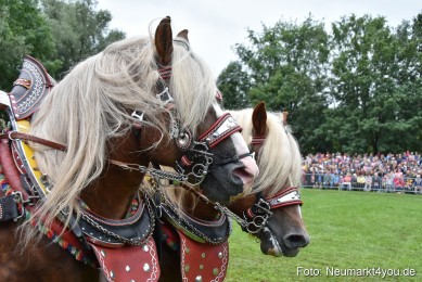 JURA-Volksfest-Pferdeshow-190819-0082