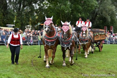 JURA-Volksfest-Pferdeshow-190819-0083