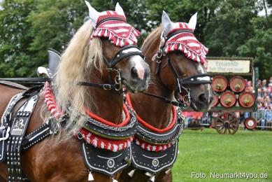 JURA-Volksfest-Pferdeshow-190819-0084