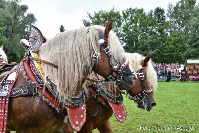 JURA-Volksfest-Pferdeshow-190819-0087