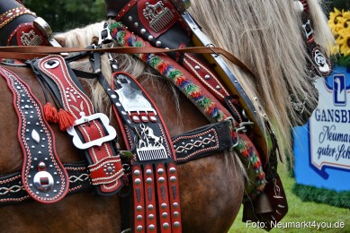 JURA-Volksfest-Pferdeshow-190819-0088