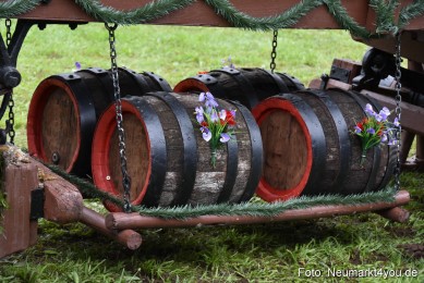 JURA-Volksfest-Pferdeshow-190819-0093