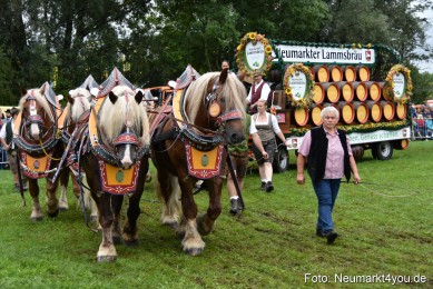 JURA-Volksfest-Pferdeshow-190819-0094