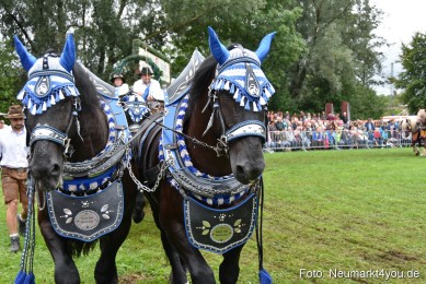 JURA-Volksfest-Pferdeshow-190819-0098