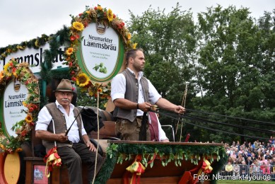 JURA-Volksfest-Pferdeshow-190819-0100