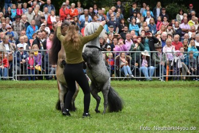 JURA-Volksfest-Pferdeshow-190819-0108