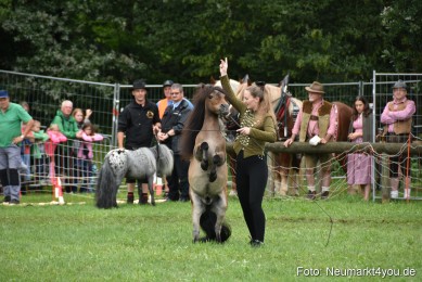 JURA-Volksfest-Pferdeshow-190819-0112