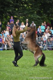 JURA-Volksfest-Pferdeshow-190819-0113