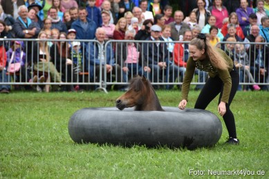 JURA-Volksfest-Pferdeshow-190819-0115