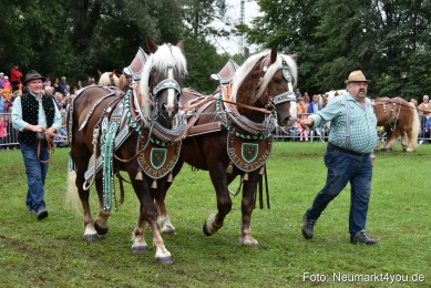 JURA-Volksfest-Pferdeshow-190819-0119