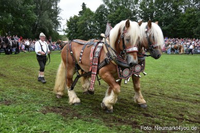 JURA-Volksfest-Pferdeshow-190819-0122