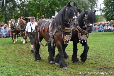 JURA-Volksfest-Pferdeshow-190819-0123
