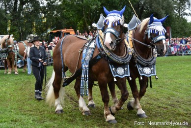 JURA-Volksfest-Pferdeshow-190819-0126