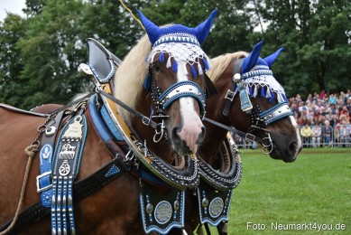 JURA-Volksfest-Pferdeshow-190819-0127