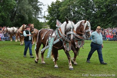 JURA-Volksfest-Pferdeshow-190819-0132