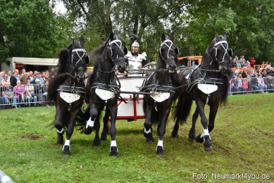 JURA-Volksfest-Pferdeshow-190819-0150