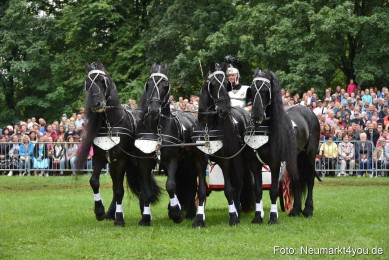JURA-Volksfest-Pferdeshow-190819-0158