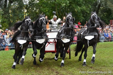 JURA-Volksfest-Pferdeshow-190819-0162