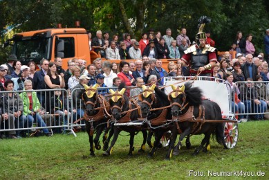 JURA-Volksfest-Pferdeshow-190819-0167