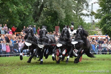 JURA-Volksfest-Pferdeshow-190819-0169