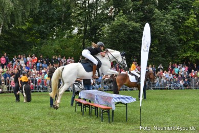 JURA-Volksfest-Pferdeshow-190819-0204