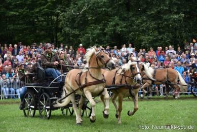 JURA-Volksfest-Pferdeshow-190819-0217