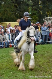 JURA-Volksfest-Pferdeshow-190819-0230
