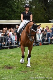 JURA-Volksfest-Pferdeshow-190819-0239