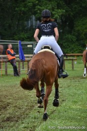 JURA-Volksfest-Pferdeshow-190819-0248