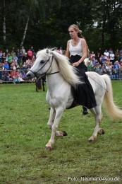 JURA-Volksfest-Pferdeshow-190819-0254