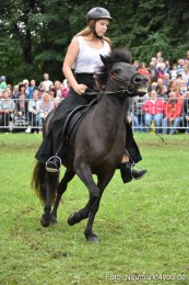 JURA-Volksfest-Pferdeshow-190819-0259