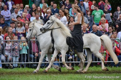 JURA-Volksfest-Pferdeshow-190819-0276
