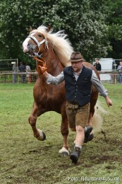 JURA-Volksfest-Pferdeshow-190819-0286
