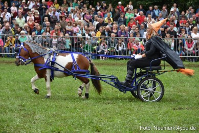JURA-Volksfest-Pferdeshow-190819-0292