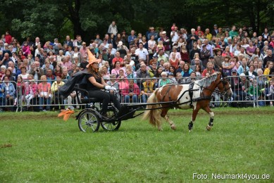 JURA-Volksfest-Pferdeshow-190819-0294