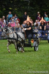 JURA-Volksfest-Pferdeshow-190819-0295