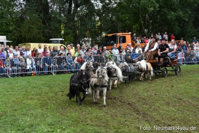JURA-Volksfest-Pferdeshow-190819-0303