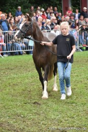JURA-Volksfest-Pferdeshow-190819-0307