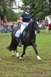 JURA-Volksfest-Pferdeshow-190819-0310