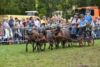 JURA-Volksfest-Pferdeshow-190819-0320