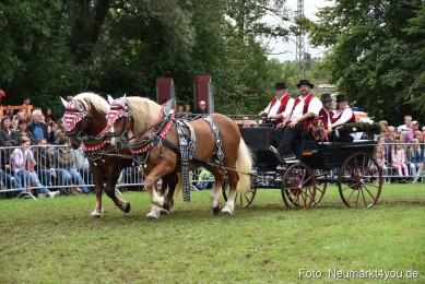 JURA-Volksfest-Pferdeshow-190819-0322