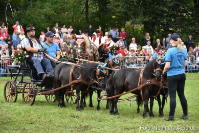 JURA-Volksfest-Pferdeshow-190819-0330