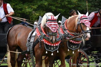 JURA-Volksfest-Pferdeshow-190819-0332